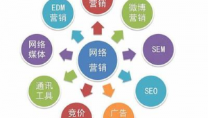 北京網絡推廣營銷與網絡技術服務 數字化轉型中的雙翼驅動